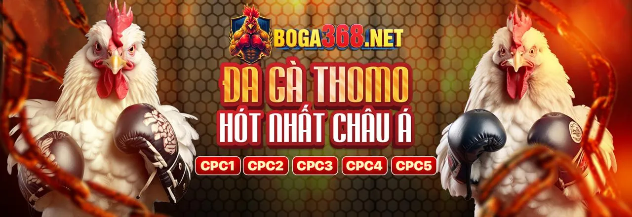 Hình ảnh chính blog 32win32 nhà cái, thể hiện sự sôi động của cá cược trực tuyến